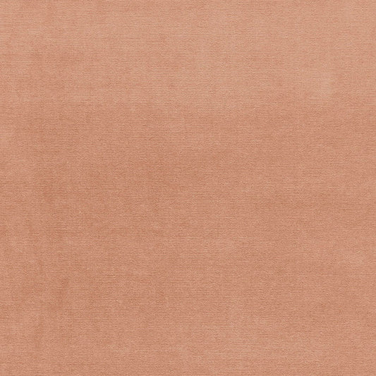 SCHUMACHER  PERFECT BASICS: VELVET GAINSBOROUGH VELVET VELVETS,HIGH PERFORMANCE VELVETS,HIGH PERFORMANCE FAWN   - 42774