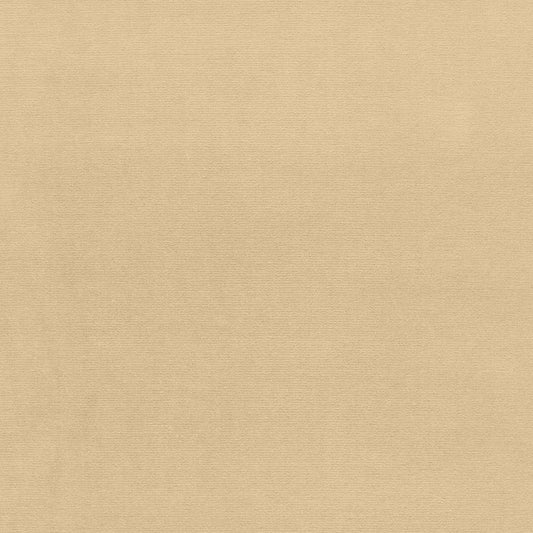 SCHUMACHER  PERFECT BASICS: VELVET GAINSBOROUGH VELVET VELVETS,HIGH PERFORMANCE VELVETS,HIGH PERFORMANCE EGGSHELL   - 42776