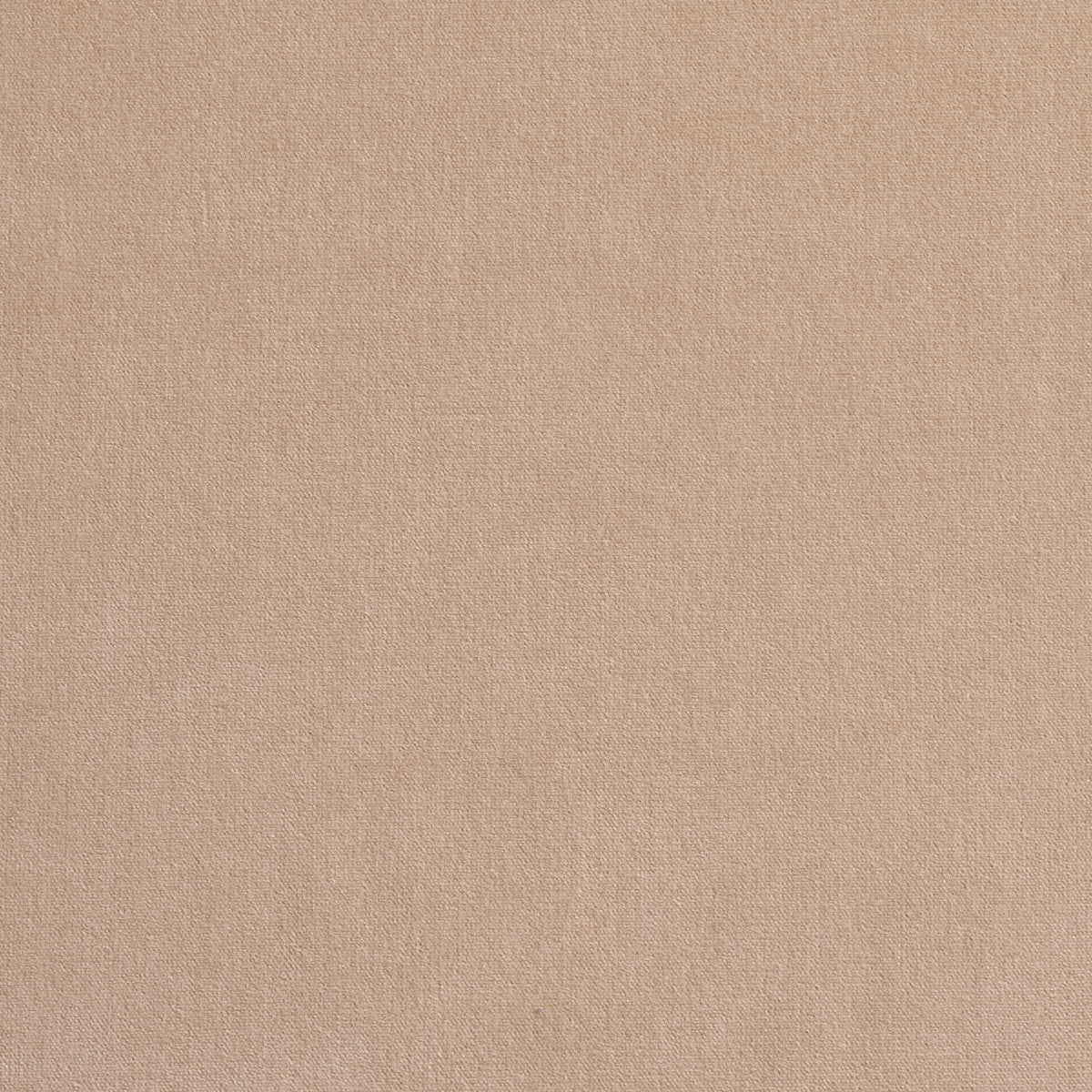 SCHUMACHER  PERFECT BASICS: VELVET GAINSBOROUGH VELVET VELVETS VELVETS BONE   - 42780