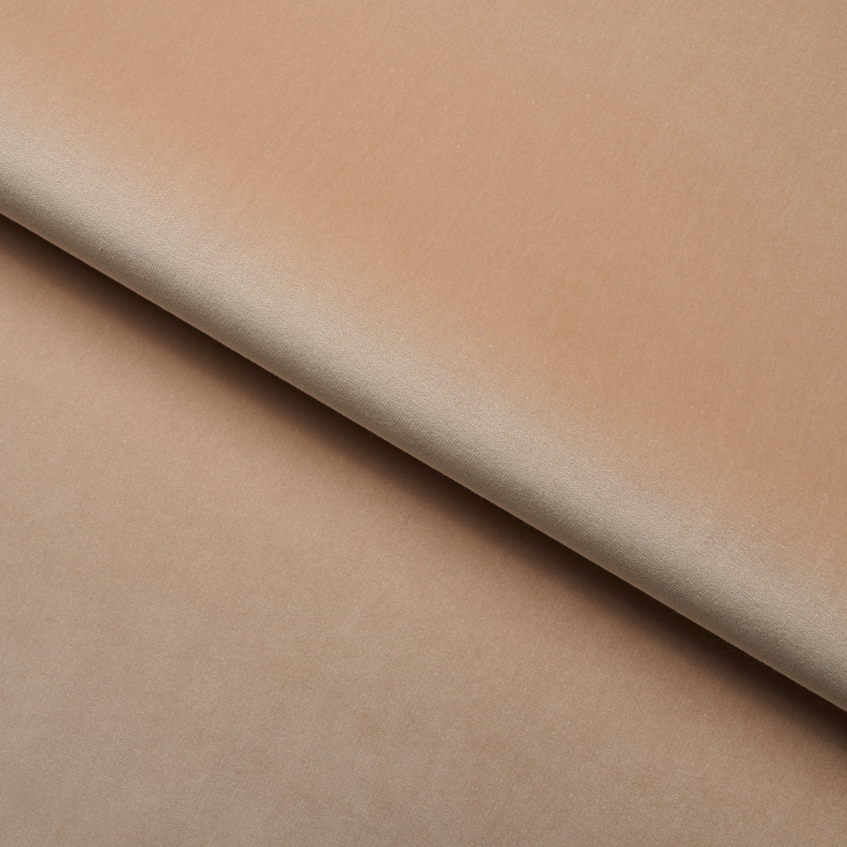 SCHUMACHER  PERFECT BASICS: VELVET GAINSBOROUGH VELVET VELVETS VELVETS BONE   - 42780