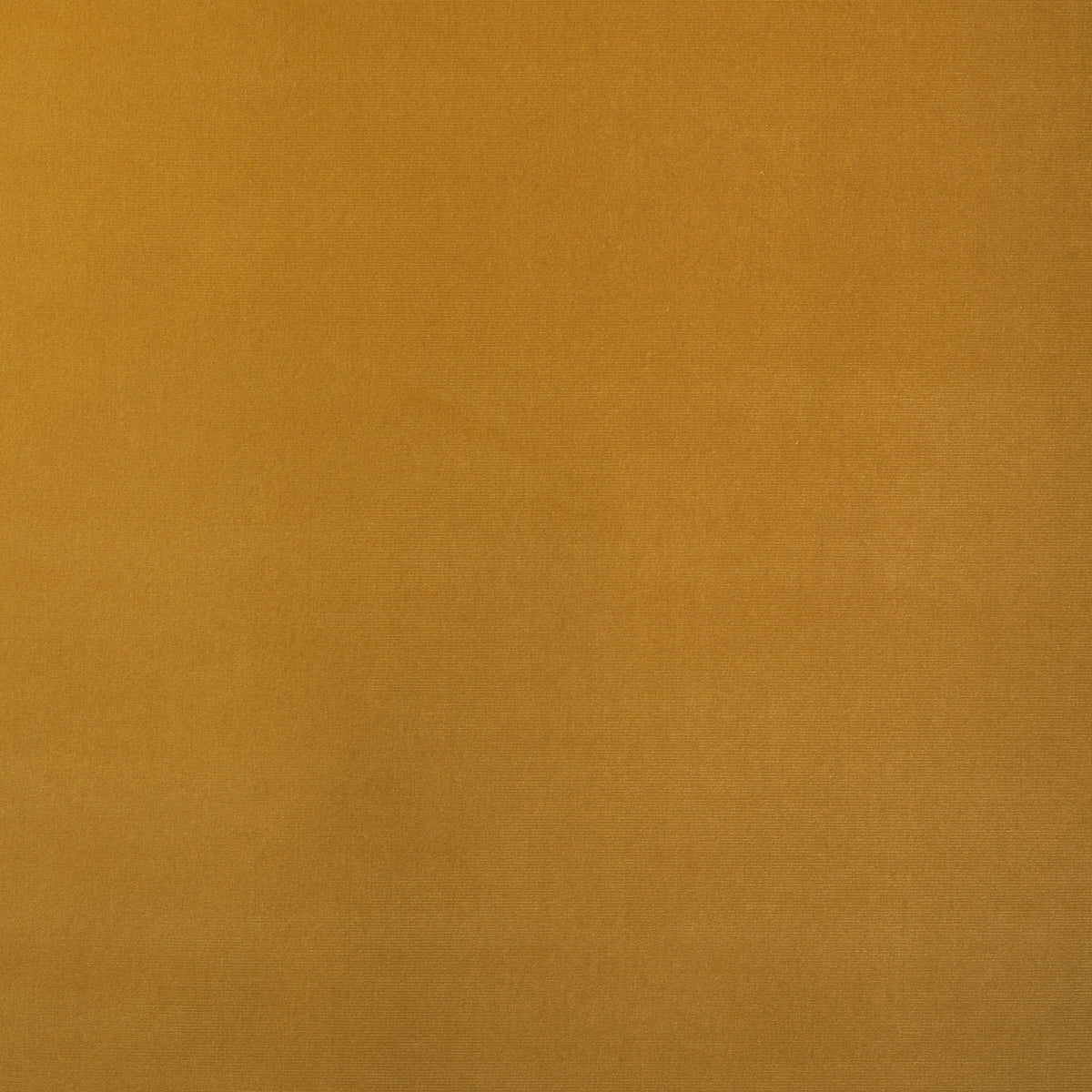 SCHUMACHER  PERFECT BASICS: VELVET GAINSBOROUGH VELVET VELVETS,HIGH PERFORMANCE VELVETS,HIGH PERFORMANCE WHEAT   - 42825