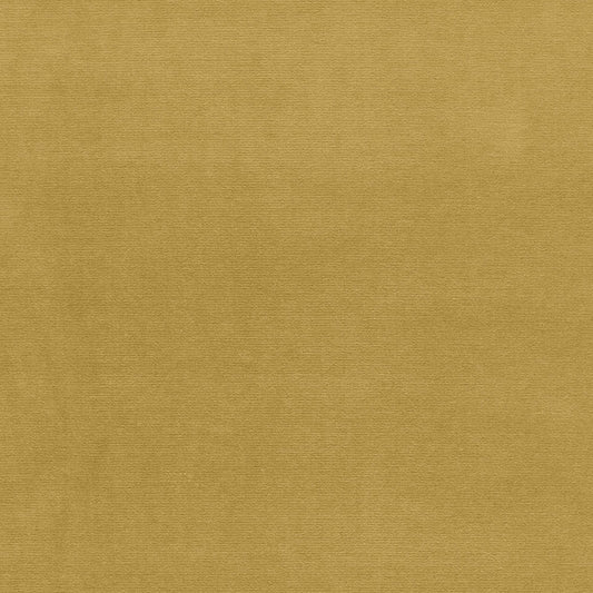 SCHUMACHER  PERFECT BASICS: VELVET GAINSBOROUGH VELVET VELVETS,HIGH PERFORMANCE VELVETS,HIGH PERFORMANCE SAFFLOWER   - 42827