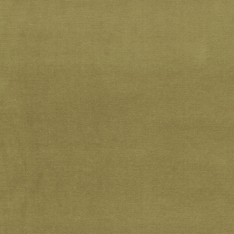 SCHUMACHER  PERFECT BASICS: VELVET GAINSBOROUGH VELVET VELVETS,HIGH PERFORMANCE VELVETS,HIGH PERFORMANCE LICHEN   - 42858