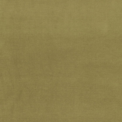 SCHUMACHER  PERFECT BASICS: VELVET GAINSBOROUGH VELVET VELVETS,HIGH PERFORMANCE VELVETS,HIGH PERFORMANCE LICHEN   - 42858
