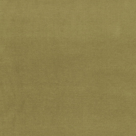 SCHUMACHER  PERFECT BASICS: VELVET GAINSBOROUGH VELVET VELVETS,HIGH PERFORMANCE VELVETS,HIGH PERFORMANCE LICHEN   - 42858