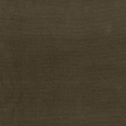 SCHUMACHER  PERFECT BASICS: VELVET GAINSBOROUGH VELVET VELVETS VELVETS CACTUS   - 42860