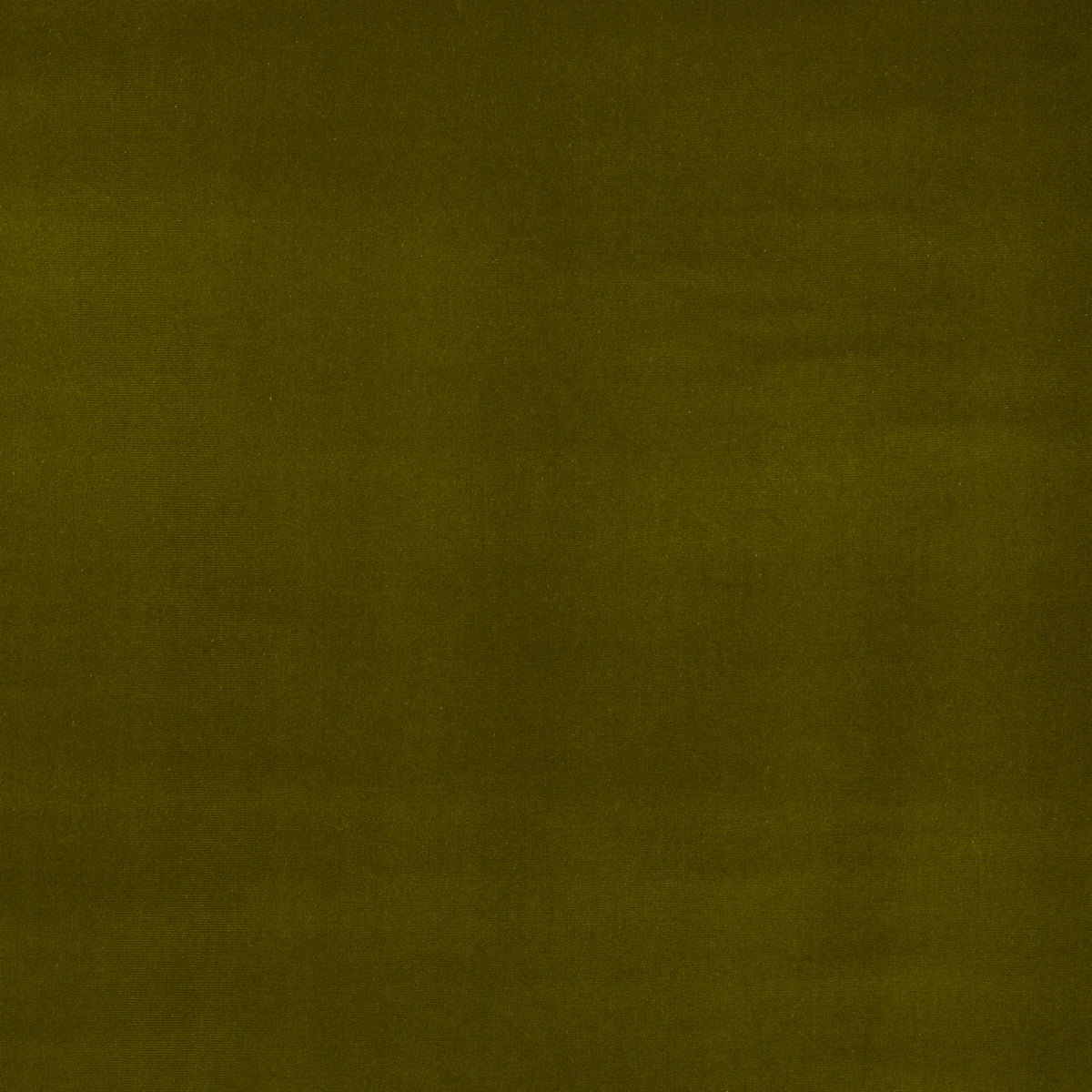 SCHUMACHER FABRIC  PERFECT BASICS: VELVET GAINSBOROUGH VELVET   MOSS   - 42863