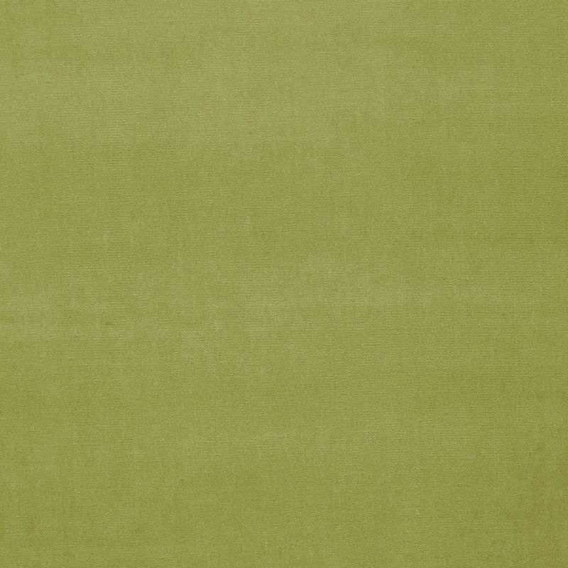 SCHUMACHER  PERFECT BASICS: VELVET GAINSBOROUGH VELVET VELVETS,HIGH PERFORMANCE VELVETS,HIGH PERFORMANCE CELERY   - 42864