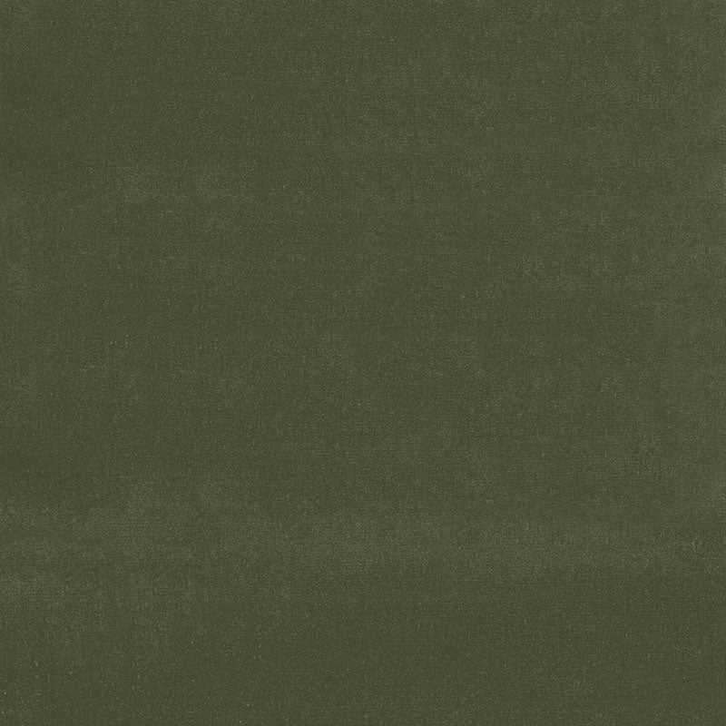 SCHUMACHER  PERFECT BASICS: VELVET GAINSBOROUGH VELVET VELVETS,HIGH PERFORMANCE VELVETS,HIGH PERFORMANCE PARSLEY   - 42865