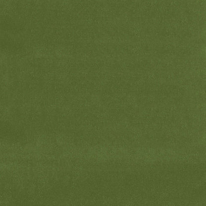 SCHUMACHER  PERFECT BASICS: VELVET GAINSBOROUGH VELVET VELVETS,HIGH PERFORMANCE VELVETS,HIGH PERFORMANCE FERN   - 42869
