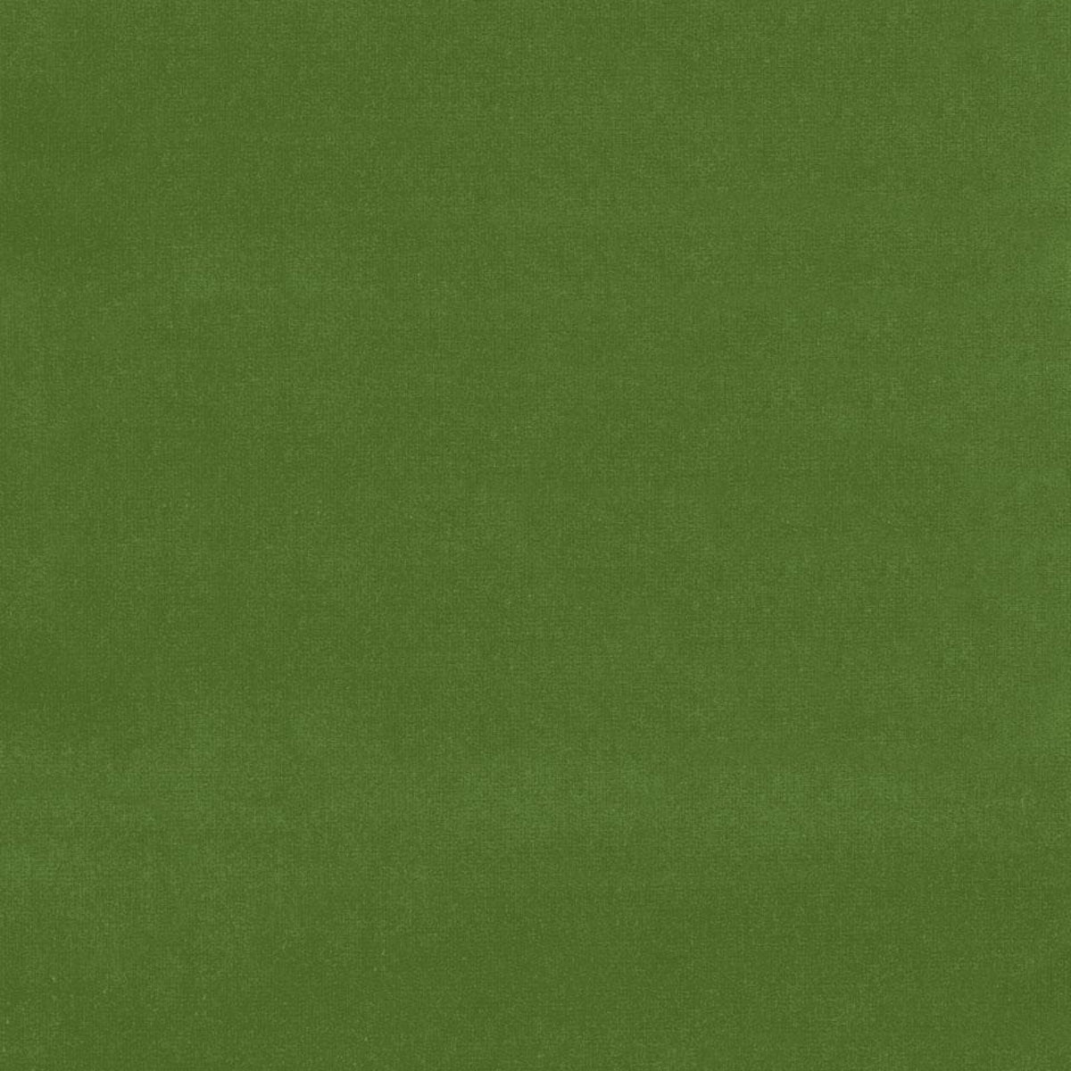 SCHUMACHER  PERFECT BASICS: VELVET GAINSBOROUGH VELVET VELVETS VELVETS ENGLISH GREEN   - 42870
