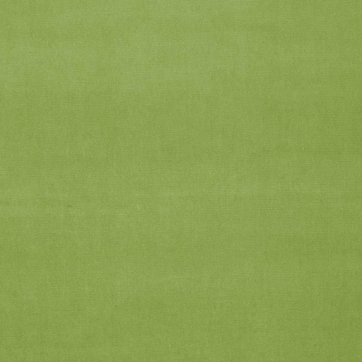 SCHUMACHER  PERFECT BASICS: VELVET GAINSBOROUGH VELVET VELVETS,HIGH PERFORMANCE VELVETS,HIGH PERFORMANCE APPLE   - 42871