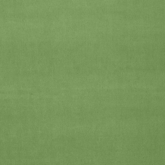 SCHUMACHER  PERFECT BASICS: VELVET GAINSBOROUGH VELVET VELVETS,HIGH PERFORMANCE VELVETS,HIGH PERFORMANCE WILLOW   - 42873