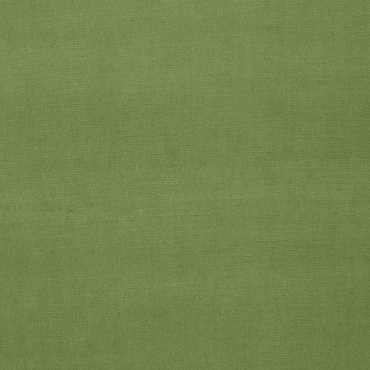 SCHUMACHER  PERFECT BASICS: VELVET GAINSBOROUGH VELVET VELVETS,HIGH PERFORMANCE VELVETS,HIGH PERFORMANCE LEAF   - 42878