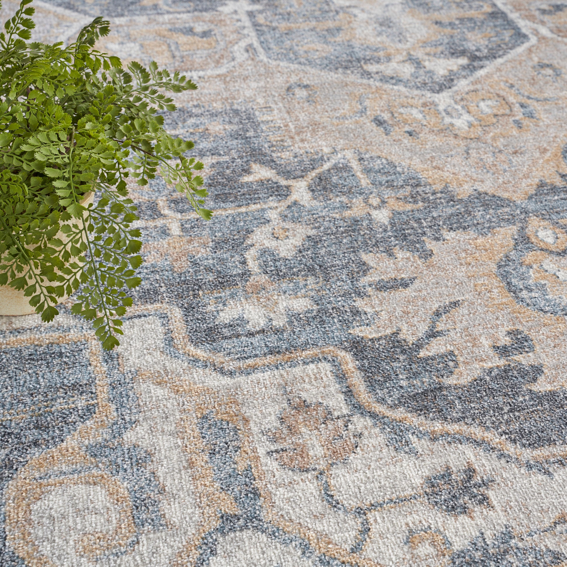 Distressed blue and beige ornate rug with floral motifs and gray undertones, paired with a potted fern on the left.