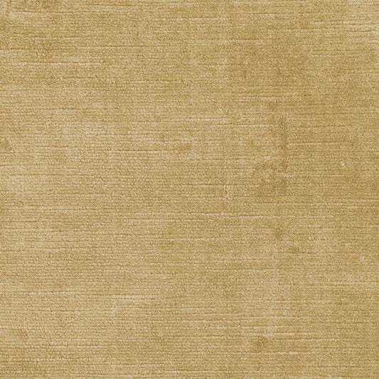 SCHUMACHER  PERFECT BASICS: VELVET ANTIQUE LINEN VELVET VELVETS VELVETS CHAMPAGNE   - 43131
