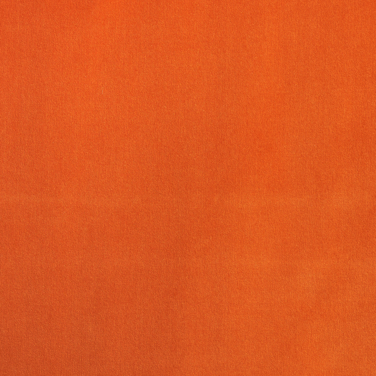 SCHUMACHER  PERFECT BASICS: VELVET GAINSBOROUGH VELVET VELVETS,HIGH PERFORMANCE VELVETS,HIGH PERFORMANCE MANGO   - 43241