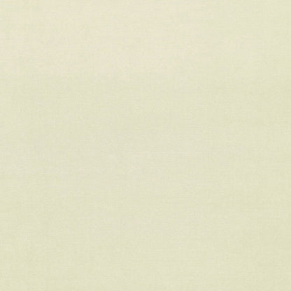 SCHUMACHER  PERFECT BASICS: VELVET GAINSBOROUGH VELVET VELVETS,HIGH PERFORMANCE VELVETS,HIGH PERFORMANCE CREAM   - 43246