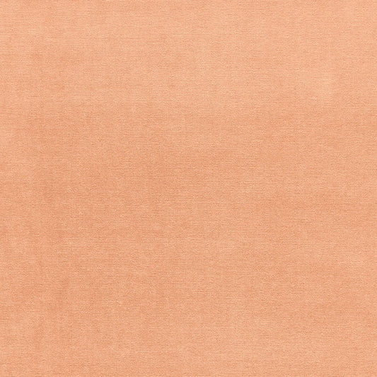 SCHUMACHER  PERFECT BASICS: VELVET GAINSBOROUGH VELVET VELVETS,HIGH PERFORMANCE VELVETS,HIGH PERFORMANCE SALMON   - 43251