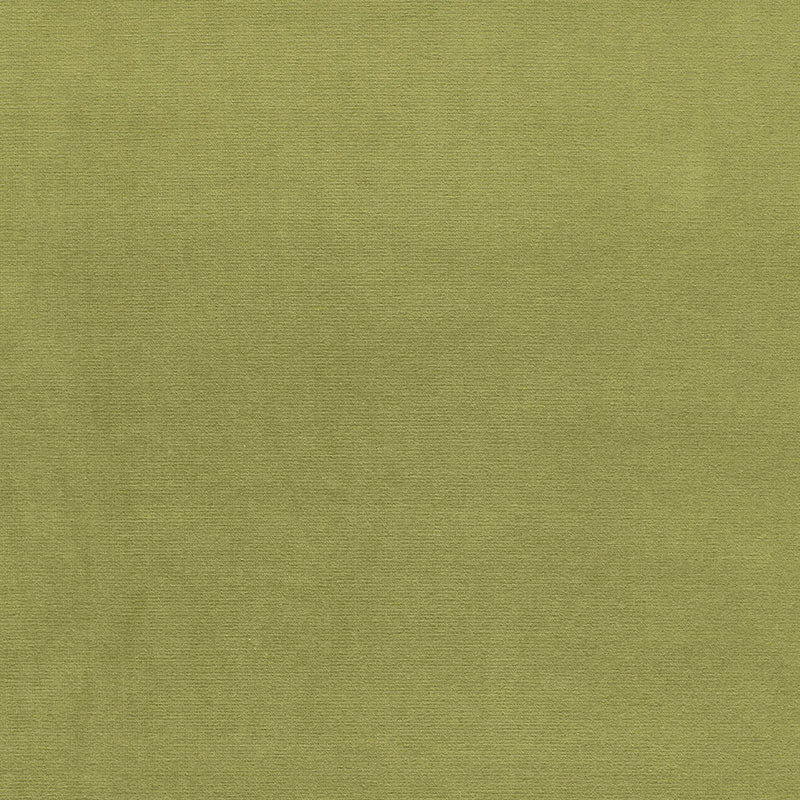 SCHUMACHER  PERFECT BASICS: VELVET GAINSBOROUGH VELVET VELVETS,HIGH PERFORMANCE VELVETS,HIGH PERFORMANCE PALM   - 43258