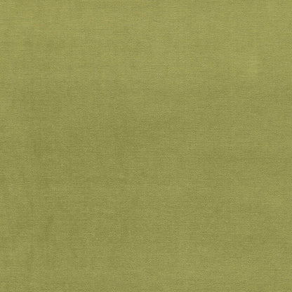 SCHUMACHER  PERFECT BASICS: VELVET GAINSBOROUGH VELVET VELVETS,HIGH PERFORMANCE VELVETS,HIGH PERFORMANCE PALM   - 43258