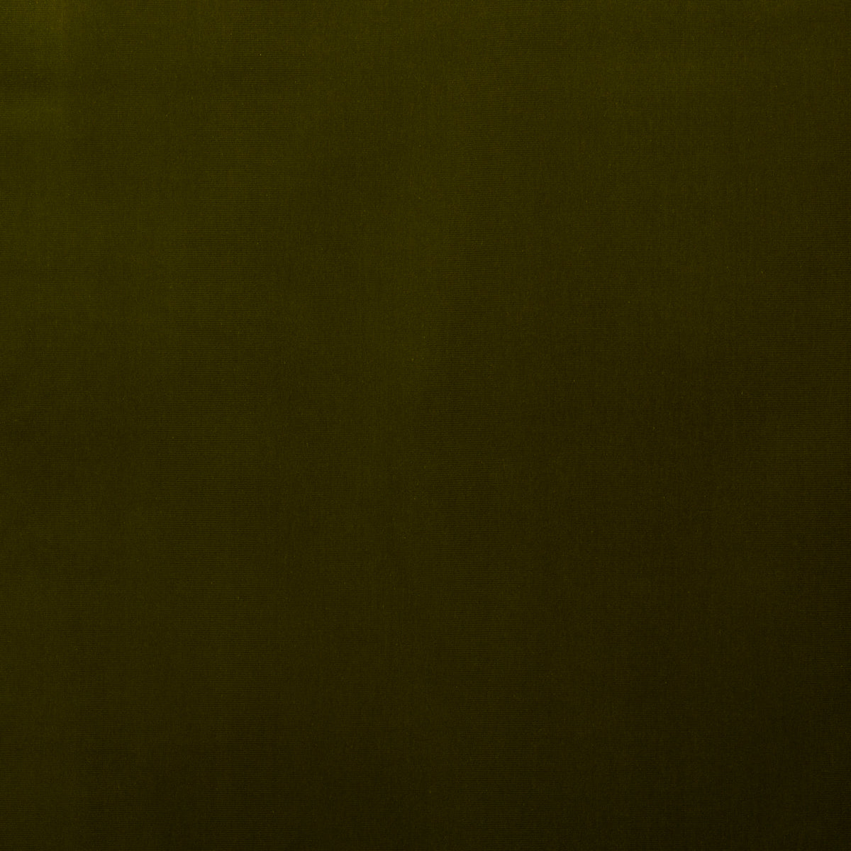 SCHUMACHER  PERFECT BASICS: VELVET GAINSBOROUGH VELVET VELVETS VELVETS MISTLETOE   - 43260