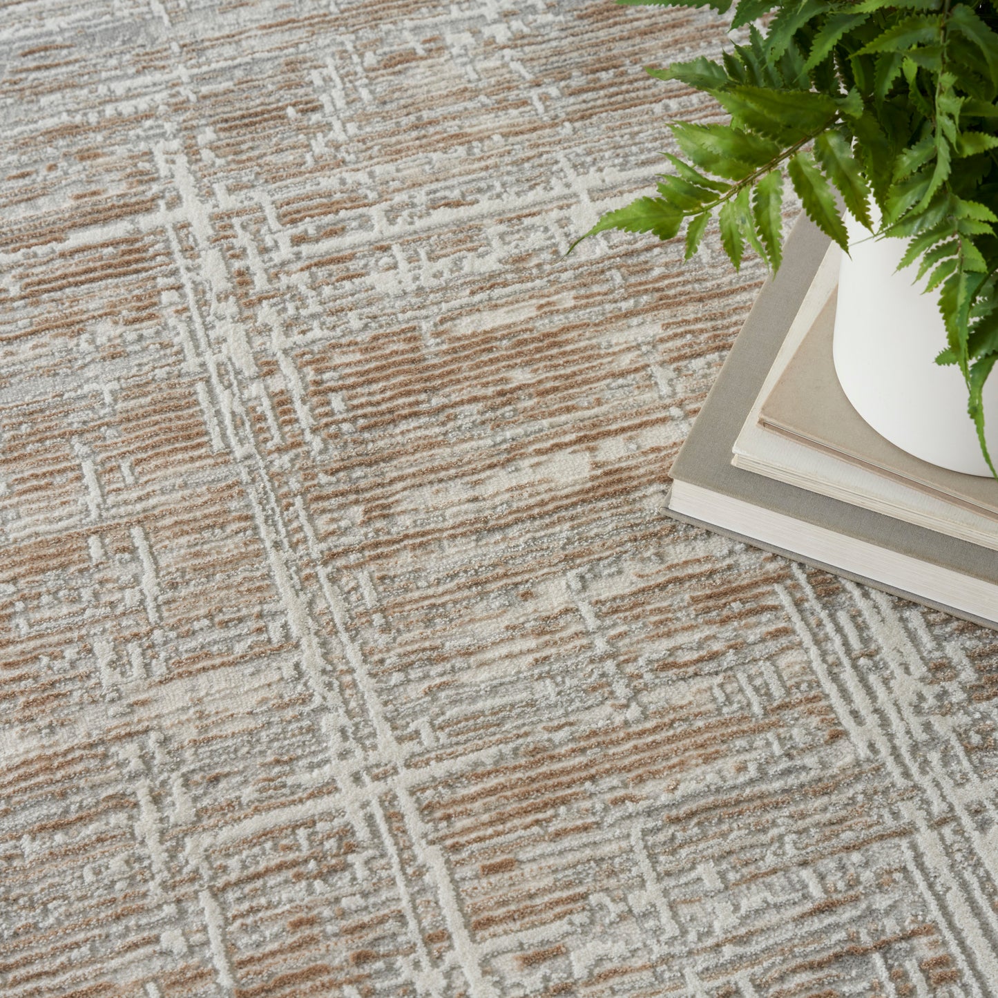 Beige patterned area rug with geometric lines; corner shows a white plant pot with green fern on stacked neutral books.