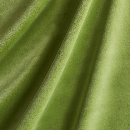 SCHUMACHER  PERFECT BASICS: VELVET COTTON CLUB VELVET VELVETS,HIGH PERFORMANCE VELVETS,HIGH PERFORMANCE SAGE   - 43424