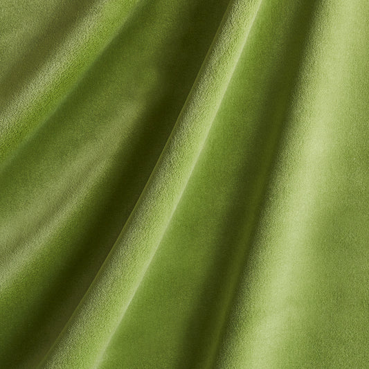 SCHUMACHER  PERFECT BASICS: VELVET COTTON CLUB VELVET VELVETS,HIGH PERFORMANCE VELVETS,HIGH PERFORMANCE SAGE   - 43424