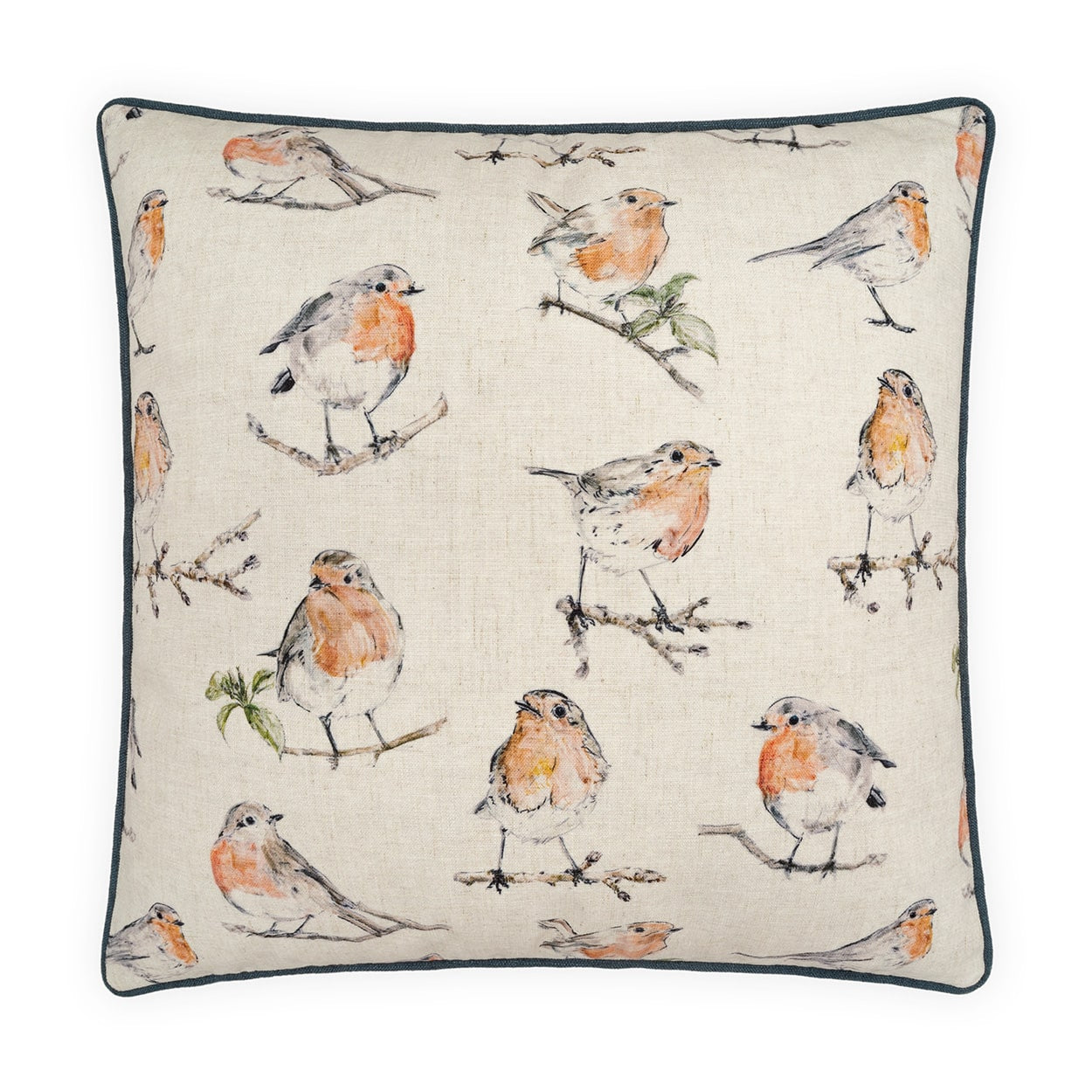 D.V. KAP HOME   24" x 24" Aviary Novelty, Animal, Traditional    - 4348-2424