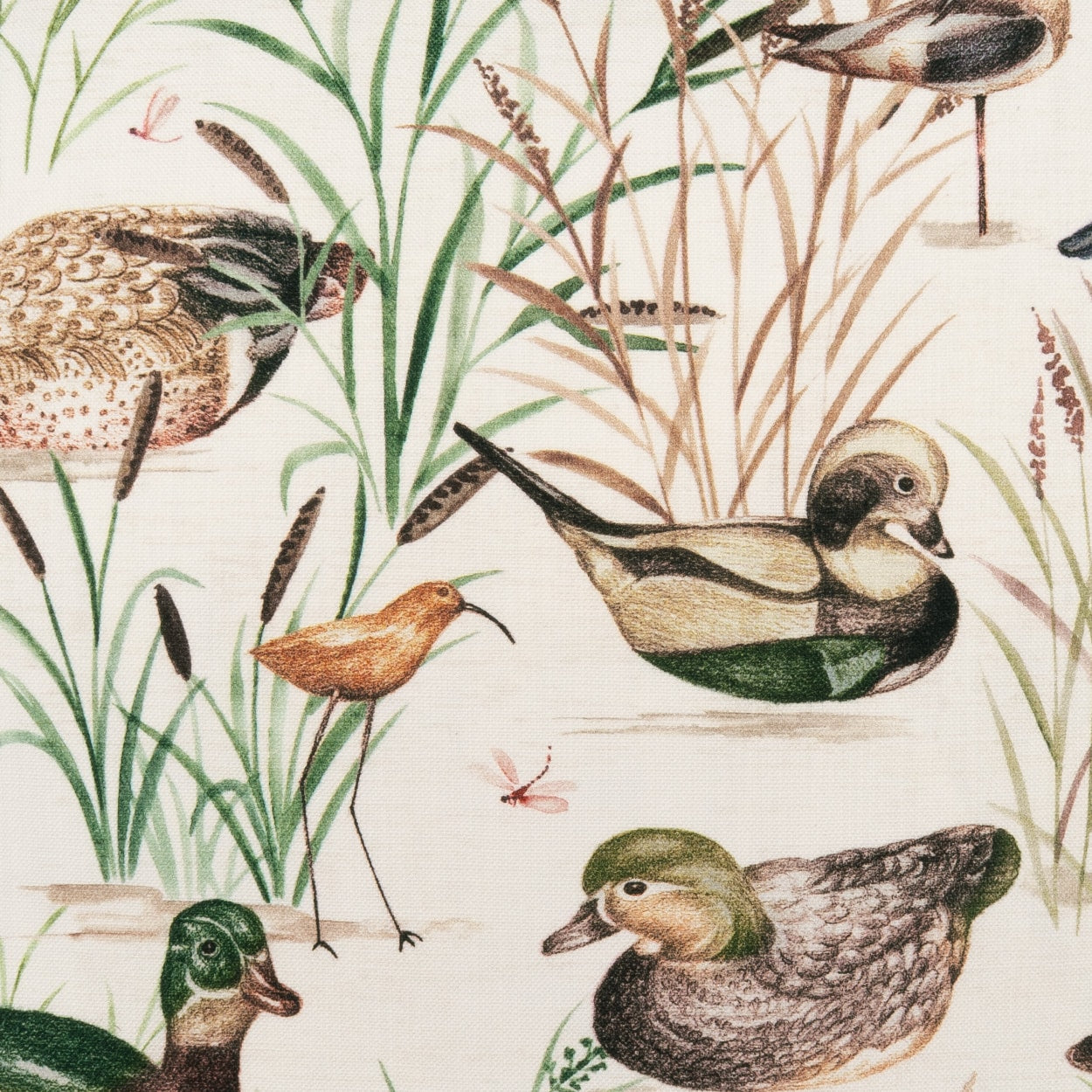 D.V. KAP HOME   24" x 24" Mallard Novelty, Animal    - 4396-2424