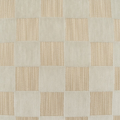 D.V. KAP HOME   24" x 24" Brodey Plaid - Check, Geometric, Modern    - 4407-N-2424