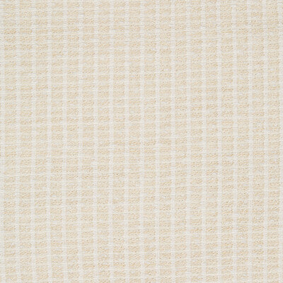 KRAVET COUTURE INDOOR / OUTDOOR TEXTURE WHITE,BEIGE,IVORY   - 4419.116.0