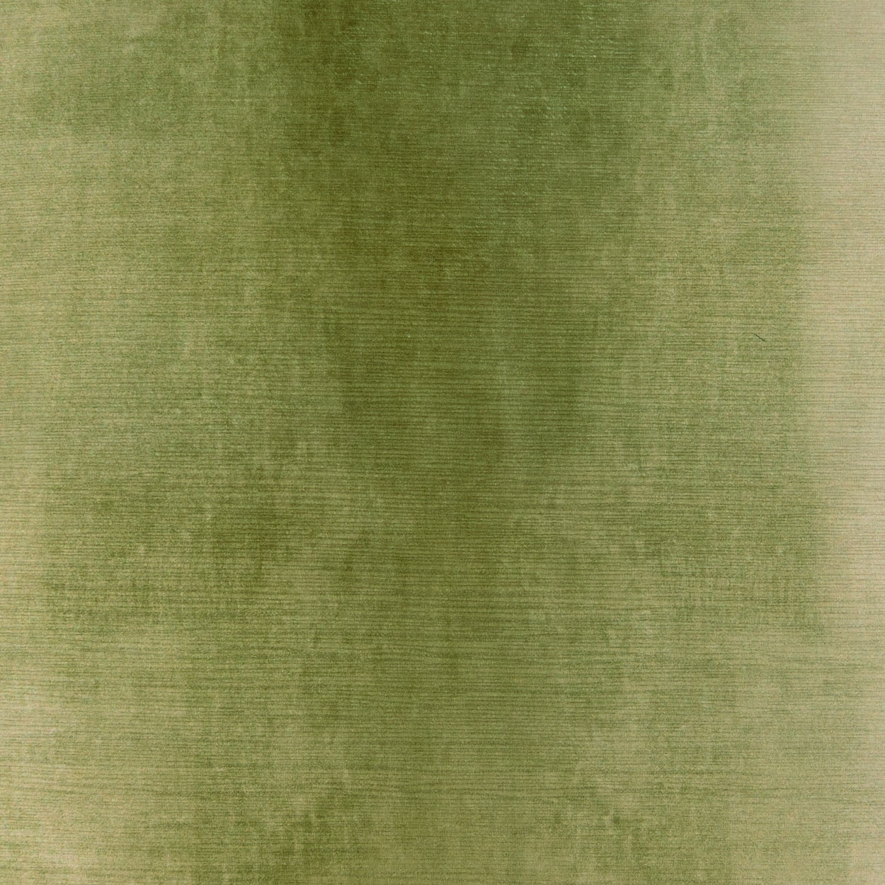 D.V. KAP HOME   24" x 24" Lennox Abstract, Transitional, Solid    - 4420-S-2424