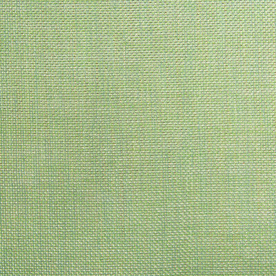 KRAVET CONTRACT  TEXTURE CELERY,SPA,   - 4458.123.0