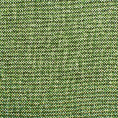 KRAVET CONTRACT  TEXTURE GREEN,OLIVE GREEN,   - 4458.323.0