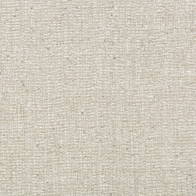 KRAVET COUTURE CASEMENT SOLID SILVER,LIGHT GREY,   - 4459.11.0