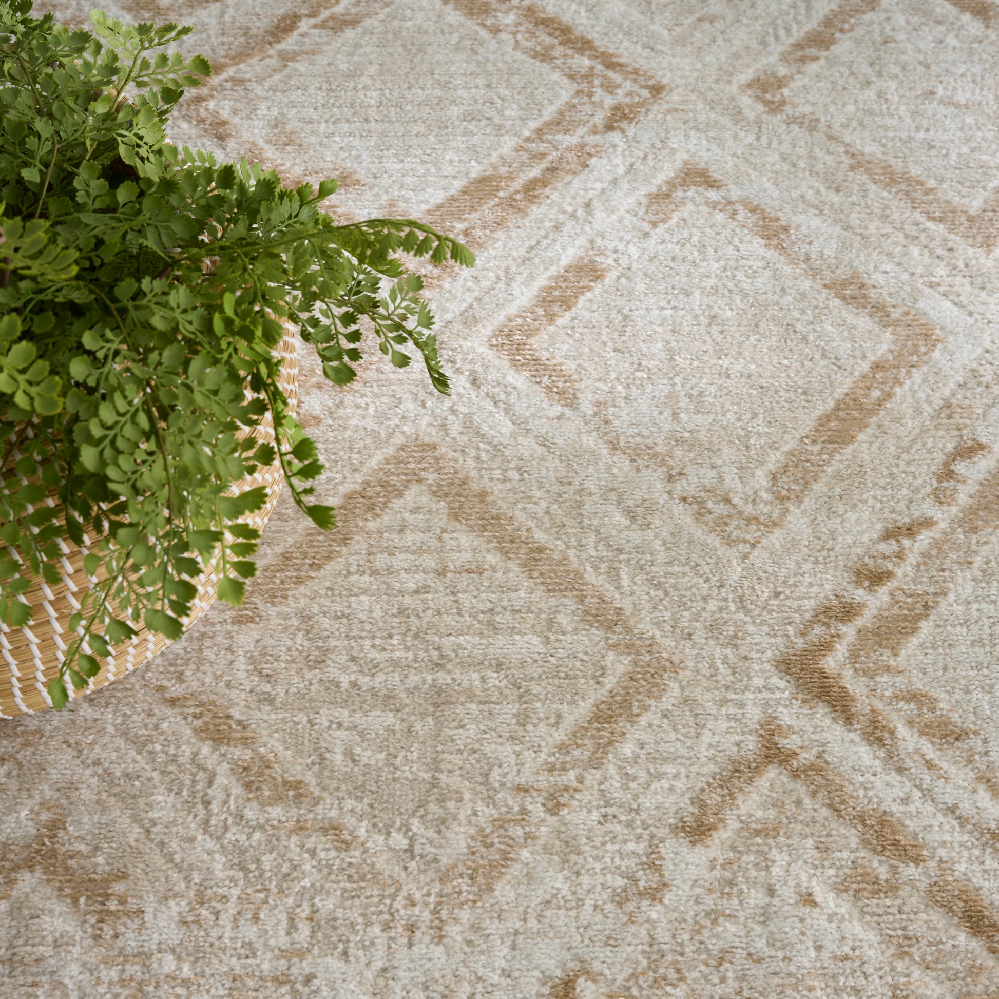 Green fern in a woven basket atop a beige geometric rug with diamond patterns.