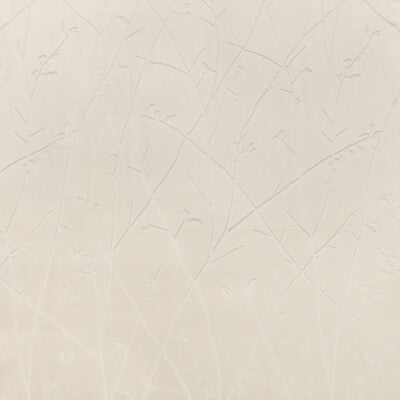 KRAVET COUTURE SHEER  IVORY,IVORY,   - 4463.1.0