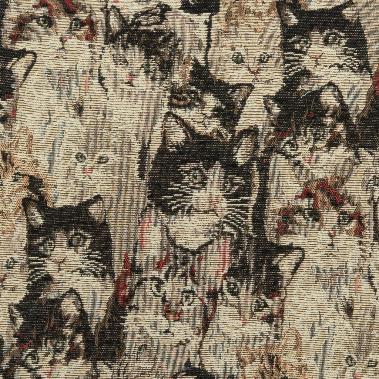 D.V. KAP HOME 4471-YARD Cat's Meow Fabric      - Cat's Meow