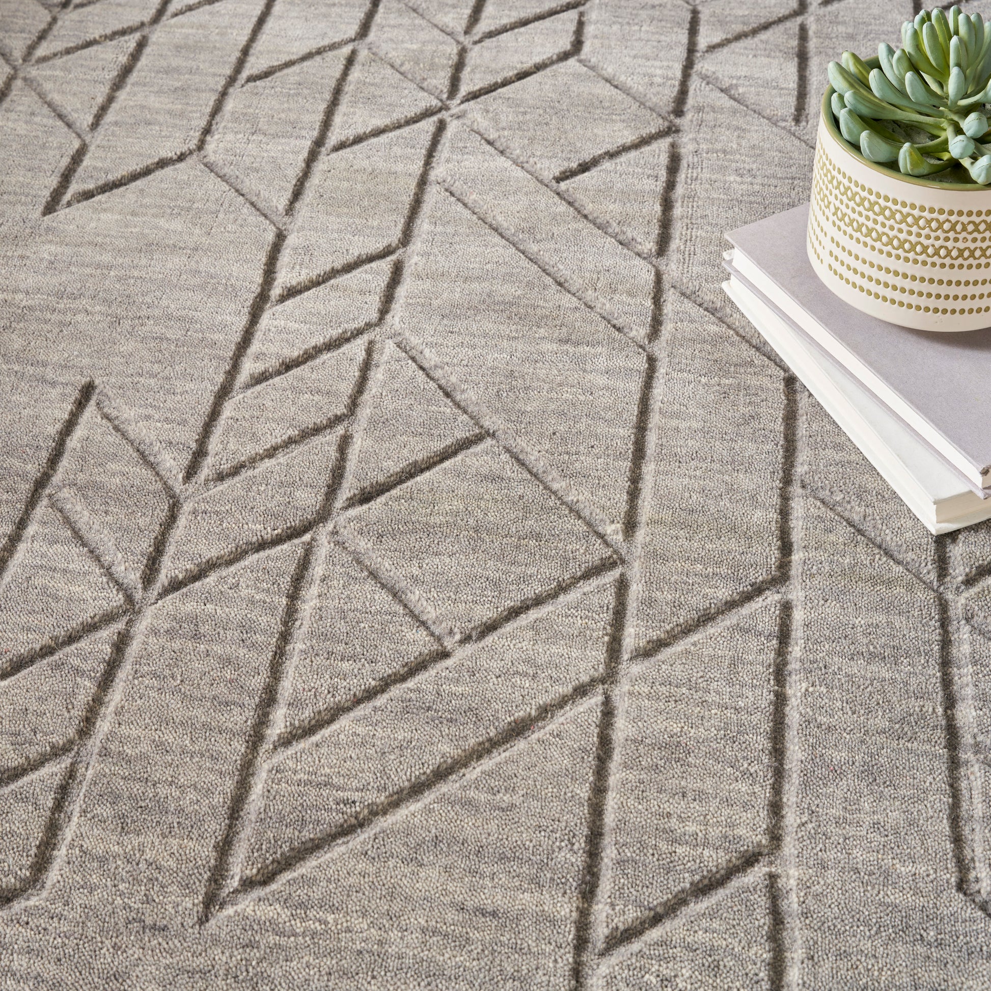 Neutral beige area rug with raised geometric diamond pattern; near a small potted succulent on a stack of books.