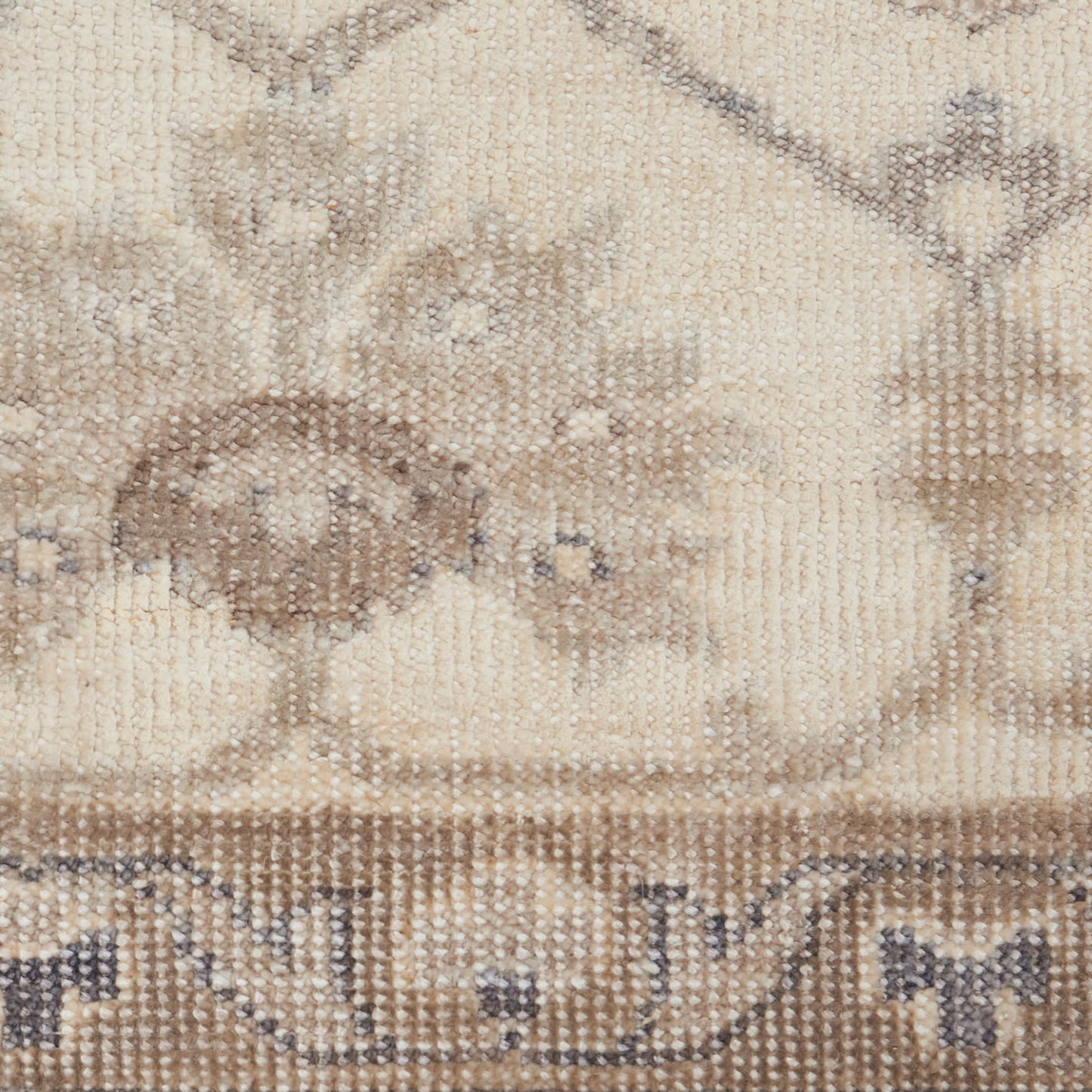Beige and taupe oriental rug with floral motifs and a decorative border; woven, neutral home decor.