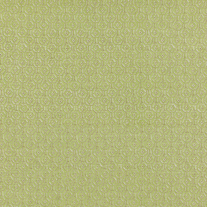 SCHUMACHER  RAOUL TEXTILES REMY PRINTS PRINTS CELERY   - 452V74