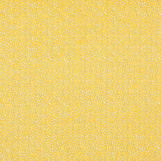 SCHUMACHER  RAOUL TEXTILES REMY PRINTS PRINTS LOQUAT   - 452V85