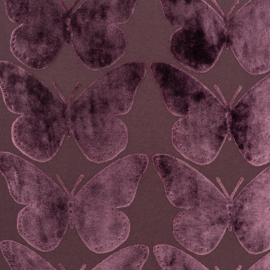 D.V. KAP HOME 4530-A-YARD Flutterby Fabric - Aubergine      - Flutterby