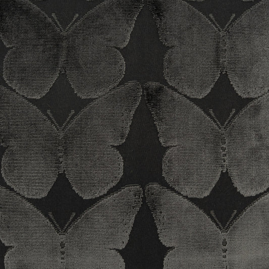 D.V. KAP HOME 4530-J-YARD Flutterby Fabric - Jet      - Flutterby
