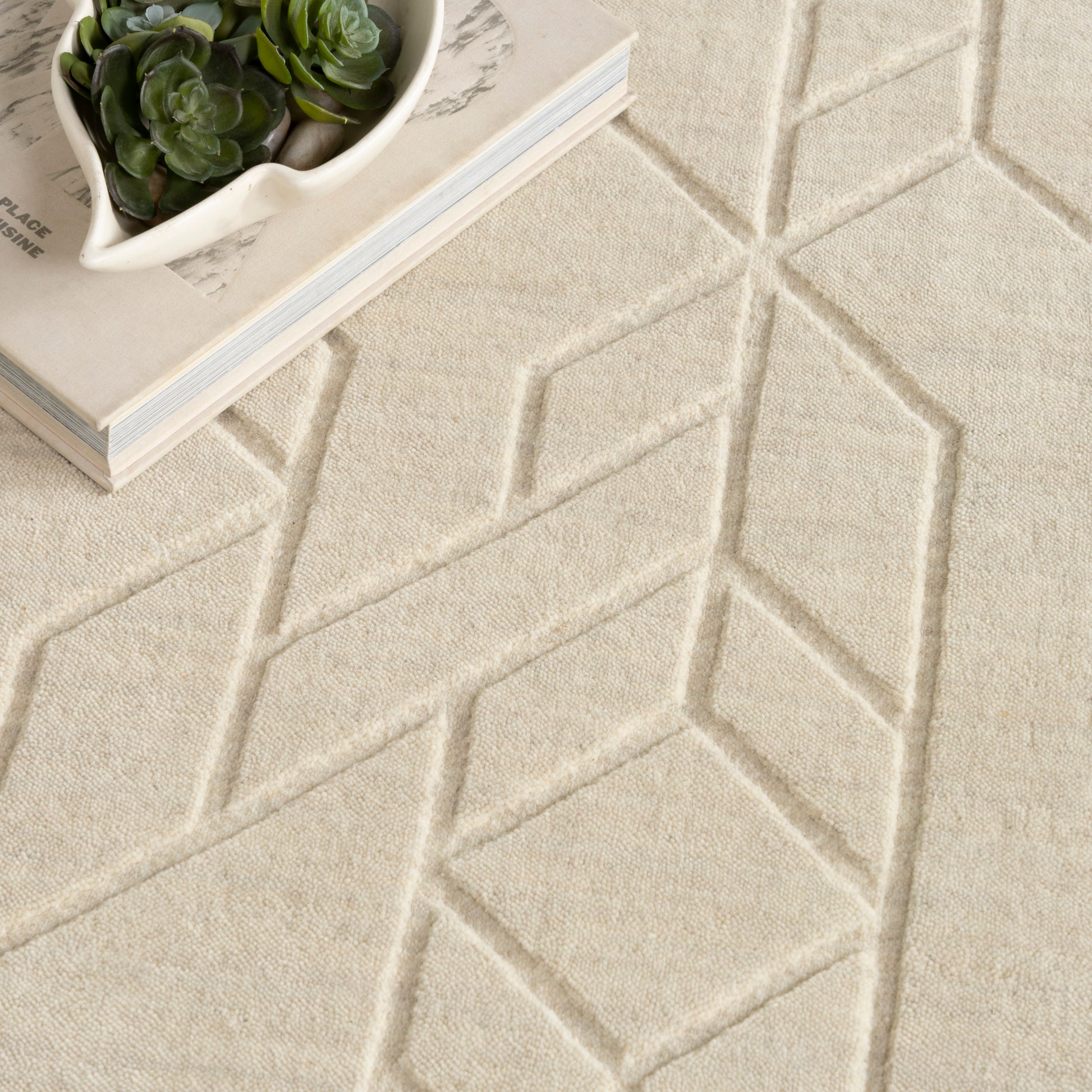 Beige textured rug with raised geometric diamond pattern, paired with stacked books and a white succulent planter.