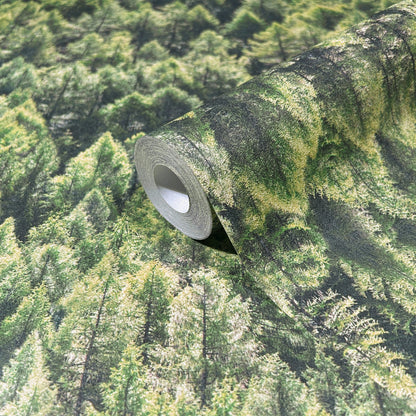 GALERIE WALLCOVERINGS The Woods and Wicker    Green   - 45730