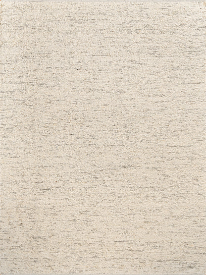 Beige textured indoor flat weave rug with subtle cream and tan fibers.