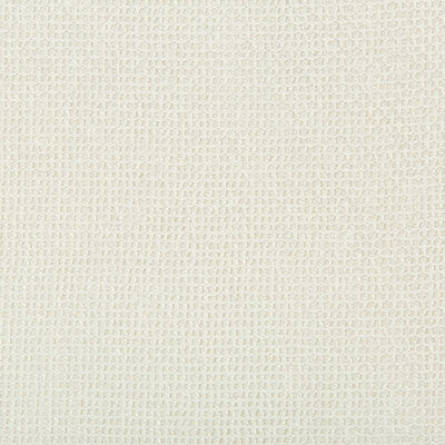 KRAVET DESIGN CASEMENT TEXTURE WHITE,WHITE,   - 4584.1.0